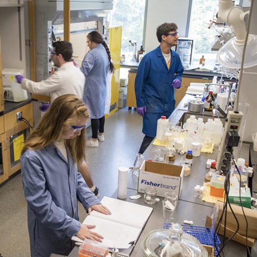 Group of students working in a lab